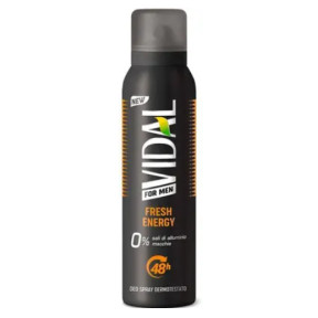 Дезодорант-спрей мужской VIDAL FRESH ENERGY 48H, 150 мл